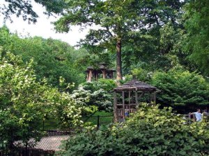 Central park NYC 18.JPG